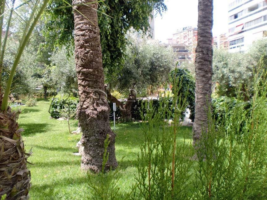 Apartamentos Cervantes 貝尼多姆 外观 照片